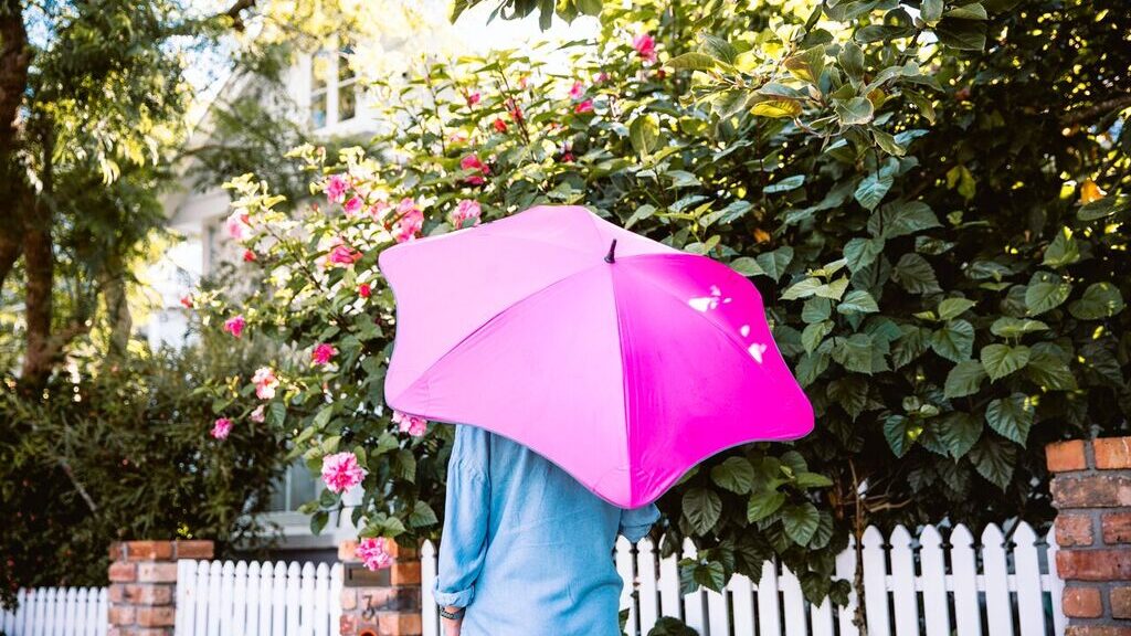 Подарить зонтик. Необычные зонты. Молодежные зонты для девушек. Необычные зонтики своими руками. Blunt Umbrellas.