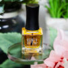 Vegan Cuticle Oil, honey nail glam