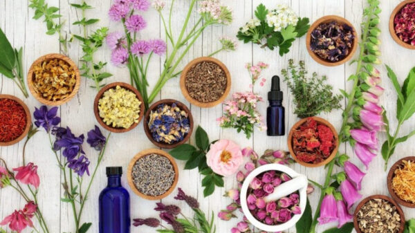 Aromatherapy for Beginners