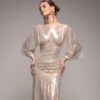 Silver Holiday Shine: The Dress